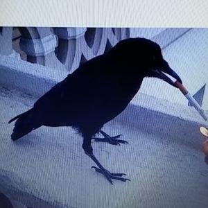 Bostonjon On Twitter Reminds Me Of Those U Tube Vids Our Dudes
