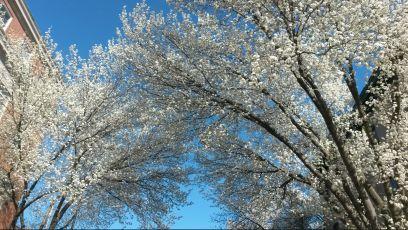 DumpyCool's profile picture. Engineer behind your screen