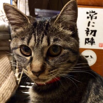 ヤツテ・マ・シヨトさんのプロフィール画像