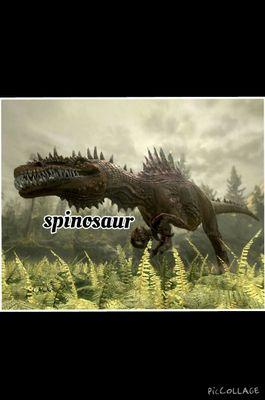 EnderBoy08's profile picture. 