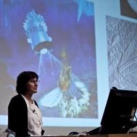 Kathleen Campbell (@stonehistorian) 's Twitter Profile