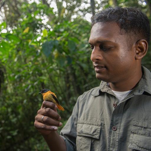 Evolutionary ecologist, National Geographic Explorer studying birds on sky islands in India. Assoc. Prof. Biology @IISERTirupati