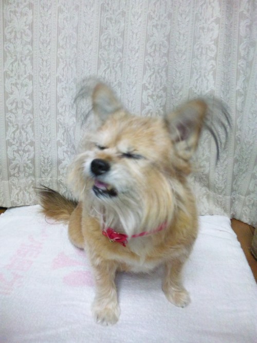 colorscheme0000's profile picture. 恋愛中毒