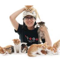 猫写真家 中山祥代 (@sachineco710) 's Twitter Profile