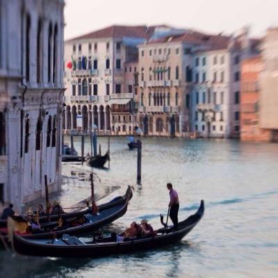 moliveiraMoli's profile picture. 