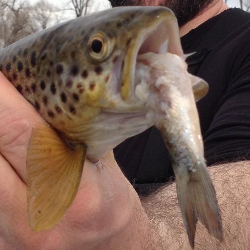 BozRiverGuides's profile picture. The expert fishing source for the Yellowstone, Madison and Gallatin rivers and other southwest Montana streams.