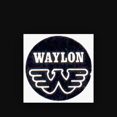 I've always been crazy but it's kept me from going insane I'm a fan of #Waylon!! #Waylonisking #watasha