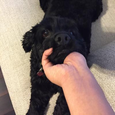 wkim12's profile picture.