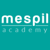 Mespil Academy (@mespilacademy) Twitter profile photo