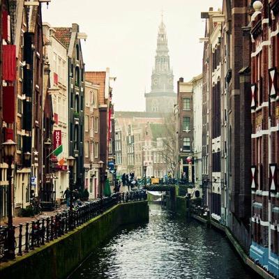 david_vangestel's profile picture. 