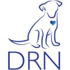 Dog Rescue Newcastle Australia rescues dog and cats. Adopt your next best friend! We need foster carers, volunteers and donations. http://t.co/j3ntUe69wG