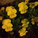 vicky_park - @0604foreverlove - Twitter