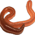 Eisenhauer Lab (@eisenhauerlab) Twitter profile photo Eisenhauer Lab (@eisenhauerlab) Twitter profile photo