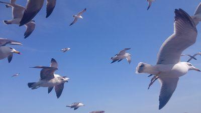 Haran_KMA's profile picture. I wish that we'll be able to meet again sometime, somewhere.