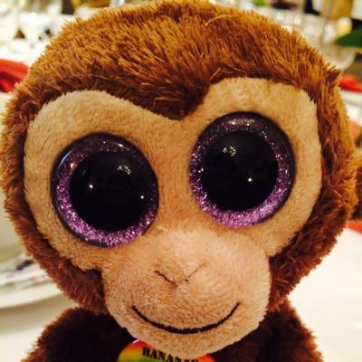 Fighting for diversity and inclusion on behalf of monkeys around the world. Director of Membership, International Society of Monkeys