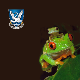 glenlolabio's profile picture. The official twitter feed of the Glenlola Collegiate School Biology Department