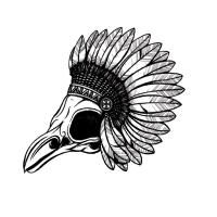 The Falling Birds (@fallforthebirds) 's Twitter Profile