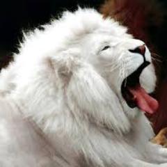 oshomurali2's profile picture. 