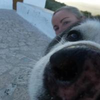 Kiersten Rowland πΊπ»βποΈ (@kierstenrowland) 's Twitter Profile