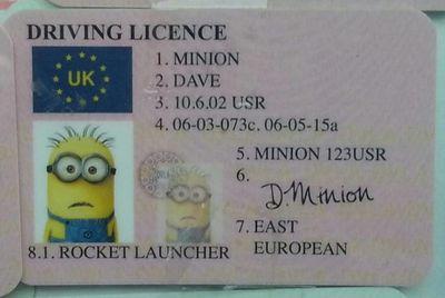 Maxytwitting's profile picture. 