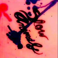 Slow Animals (@slowanimalsband) 's Twitter Profile