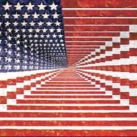 ProudAmerican (@pr0udamerican) 's Twitter Profile