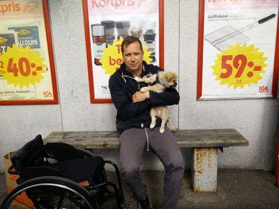 daflens's profile picture. 