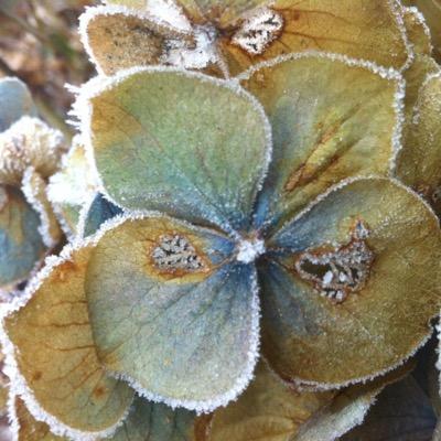 clarearnold18's profile picture. 