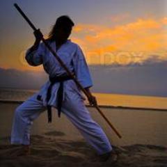 sportswoman karate #martialarts #gojuryu #kobudo #selfdefense #mylife #travel #Naturalfitness