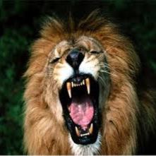 RyanMarshall902's profile picture. 