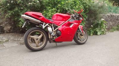 elmateo748131's profile picture. 