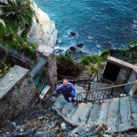 Niall Roberts (@niallroberts) 's Twitter Profile