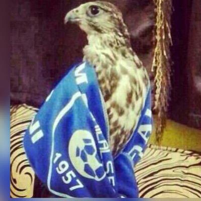 محب لما هو لونه ازرق..الهلال..السماء..البحر تابعني..أتابعك..غير كذا ✋