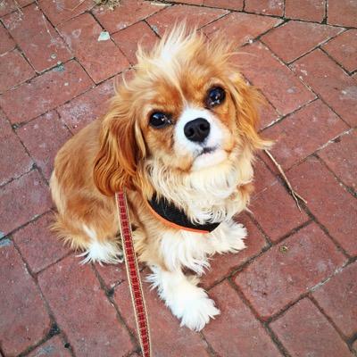 BerkleyLulu's profile picture. 