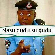 moduske's profile picture. 