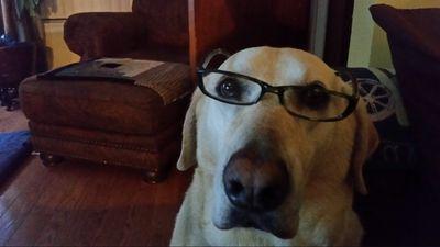 Samshoe's profile picture. I.T tech, Investor,
 who Loves His Country, Family and the Brave Men and Women who Fight to Defend it..God Bless America!  DMs won't  be answered don't  bother.