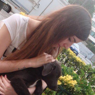 irunesaiz's profile picture. 