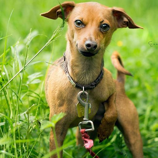 DavidDavidkw's profile picture. 