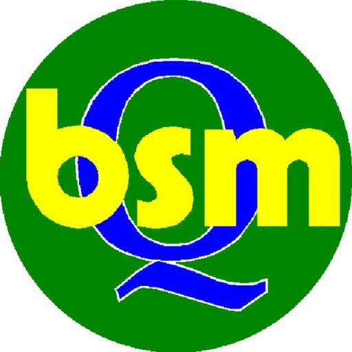 Bsm in an italian dealer of costruction and earthmoving machines. Our services are: selling new and used machines, rental, technical assistance and spare parts.