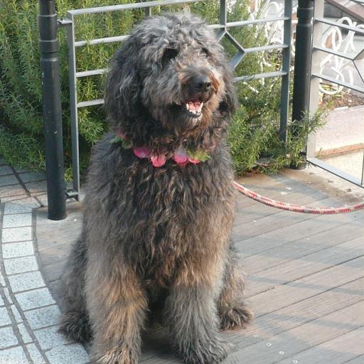 銭形雅一さんのプロフィール画像
