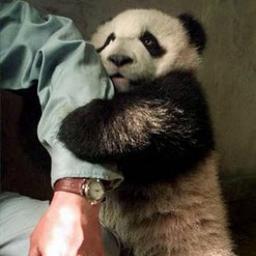 gman79l's profile picture. 