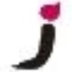 J_GAEA_TOKYO's profile picture. 池袋の投資用中古区分マンション販売の不動産会社です。創業30周年を迎えました。購入希望のお客様、売却希望のオーナー様、お気軽にご連絡ください。#池袋 #不動産 #不動産投資 #マンション投資 #ワンルーム投資 #サラリーマン大家 #無料相談