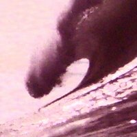 Ocean Beach (@oceanbeach) 's Twitter Profile