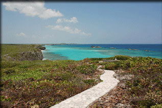 scubabusiness's profile picture. Scuba diving marketing niche