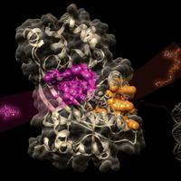 EpigeneticMedChemLab (@epimedchemlab) 's Twitter Profile