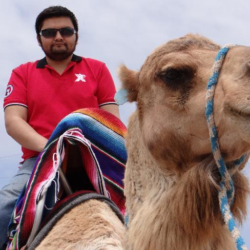 roberto_soto's profile picture. Geek que intenta unir política con ciencia y termina siendo odioso y resentido. Panteísta, anticlasista, antiimperialista, rojillo, indetectable a radares.🕵️🔭