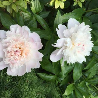 juliafromboca's profile picture. A kid from Boca / ex-pat in Paris / transplant in DC