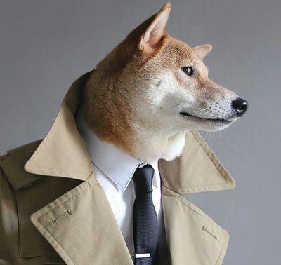 apollojet's profile picture. Пишу приложения, которыми ты пользуешься