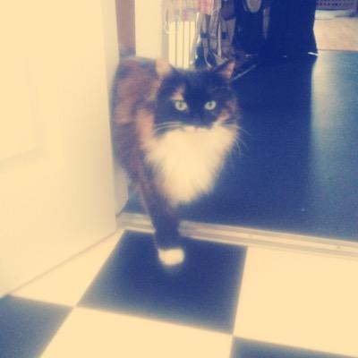 winniekate19's profile picture. Follow 4 Follow x