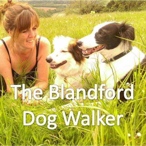 MuddyPsDorset's profile picture. The Blandford Dog Walker - dog walking, dog, cat and pet sitting and feeding, horse care and house sitting in Dorset. #snoopysaluki